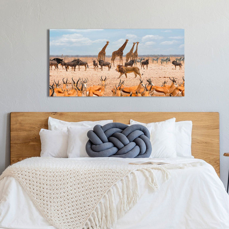 2AP6153 The Lion, The King Of The Savannah (Masai Mara) - Wrapped Canvas Art Prints, 50cm H x 100cm W x 4cm D