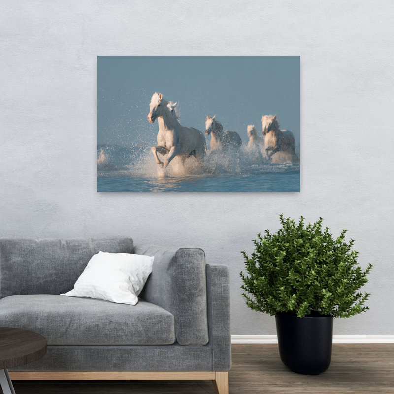 Chevaux blancs qui courent dans la nature, 32" H x 48" W