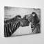 Zebra Wildlife - Wrapped Canvas-19093098