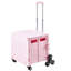 Caisse pliable avec roues d'escalade pliable 65L