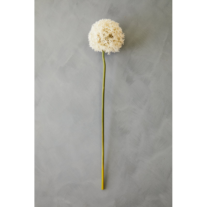 Fiori Allium Arrangement