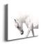 Neutral Stallion - Photographie sur toile tendue-968637653
