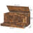 Cheynne Storage Blanket Chest with Drawer-469390833