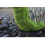 Canipe Plastic Faux Rock