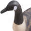 Flotteur Canada Goose Decoy d'extérieur avec peinture ultra réaliste, paquet de 6