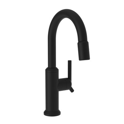 Jeter Single Handle Pull Down Bar Faucet