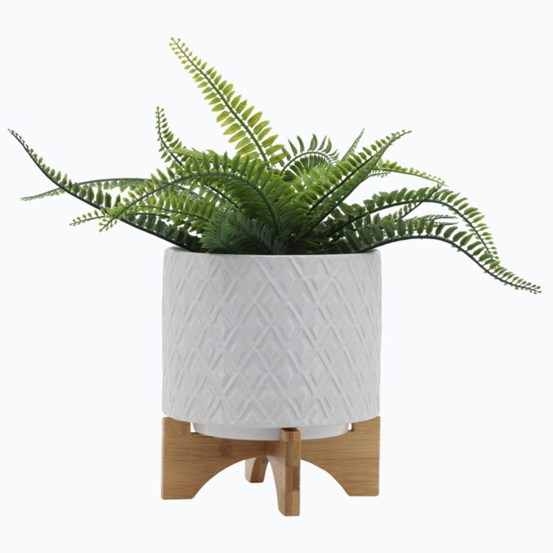 Winrich Ceramic Pot Planter