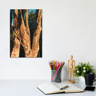 Sunset Light 1 Piece Wrapped Canvas Wall Art