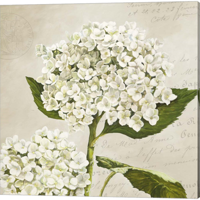 «Hydrangeas (Neutre)» par Remy Dellal, art sur toile (ensemble de 2)