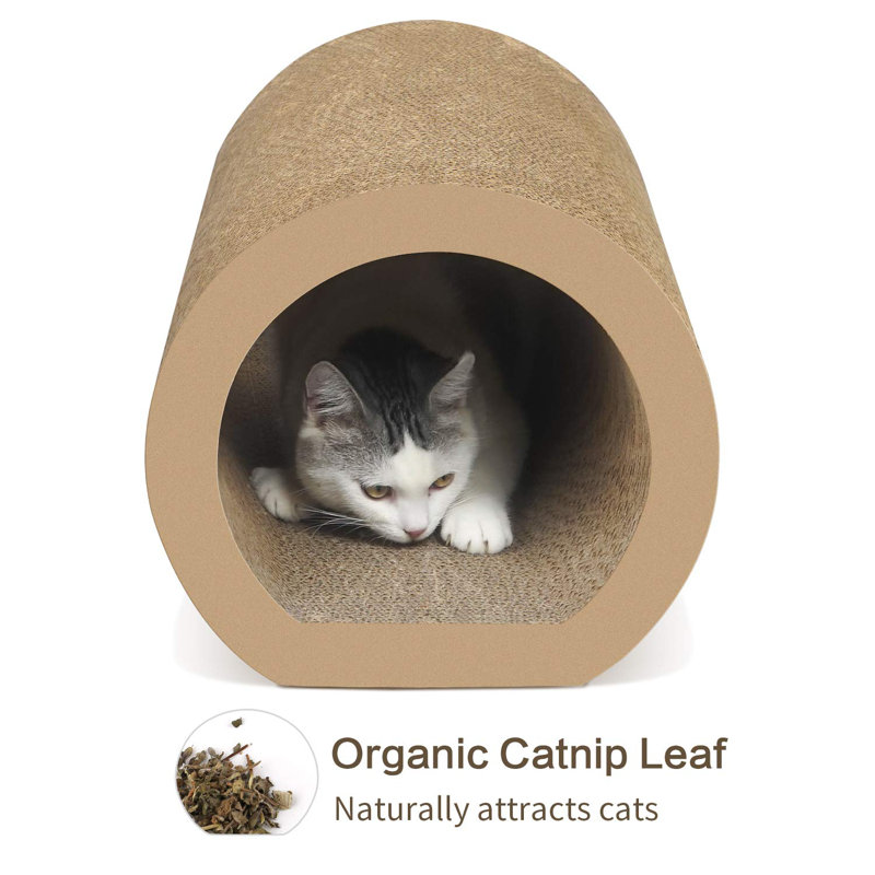 Scratching Post