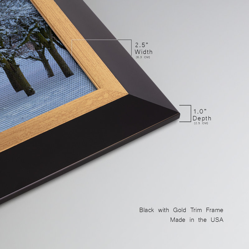 Winter's Beauty - Reproduction de photo sur toile simple, H 25 po x l 45 po x P 2,5 po
