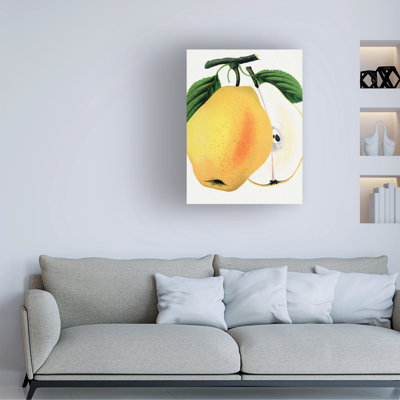 Reproduction d'art sur toile, reproduction botanique