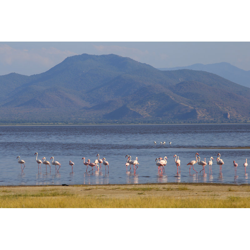 Crider Flamingos In Lake Manyara - Wrapped Canvas Print, 20cm H x 30cm W x 3.8cm D