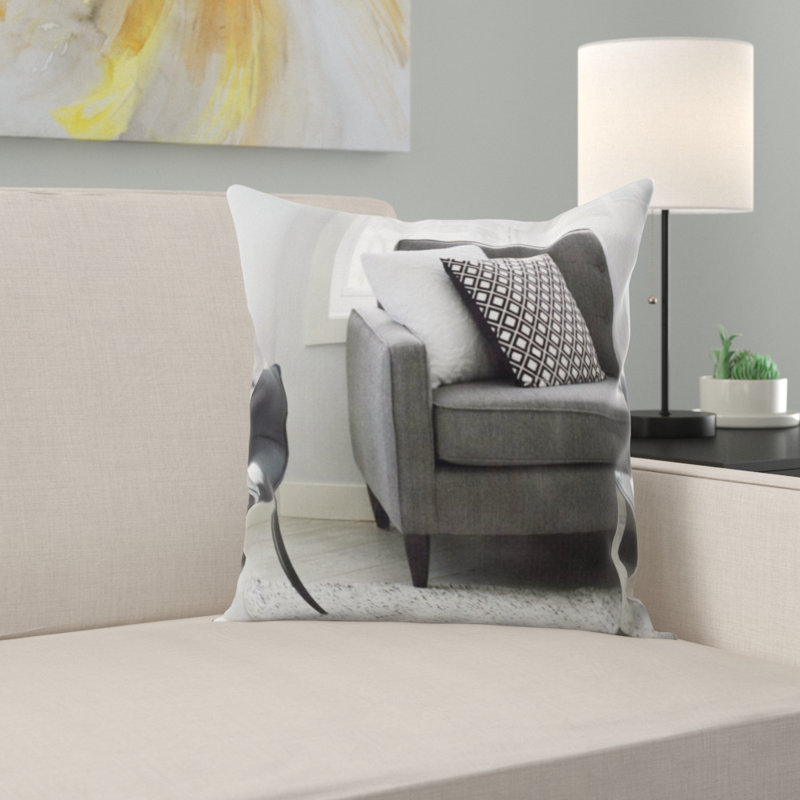 Coussin de salon