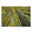 Ambesonne Scenery Cutting Board Large Size Aspen Trees in Forest Yellow