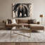 Faune, ours gris, art mural sur toile-388509723