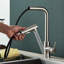 Belfry Kitchen Simlai Pull Out Kitchen Faucet