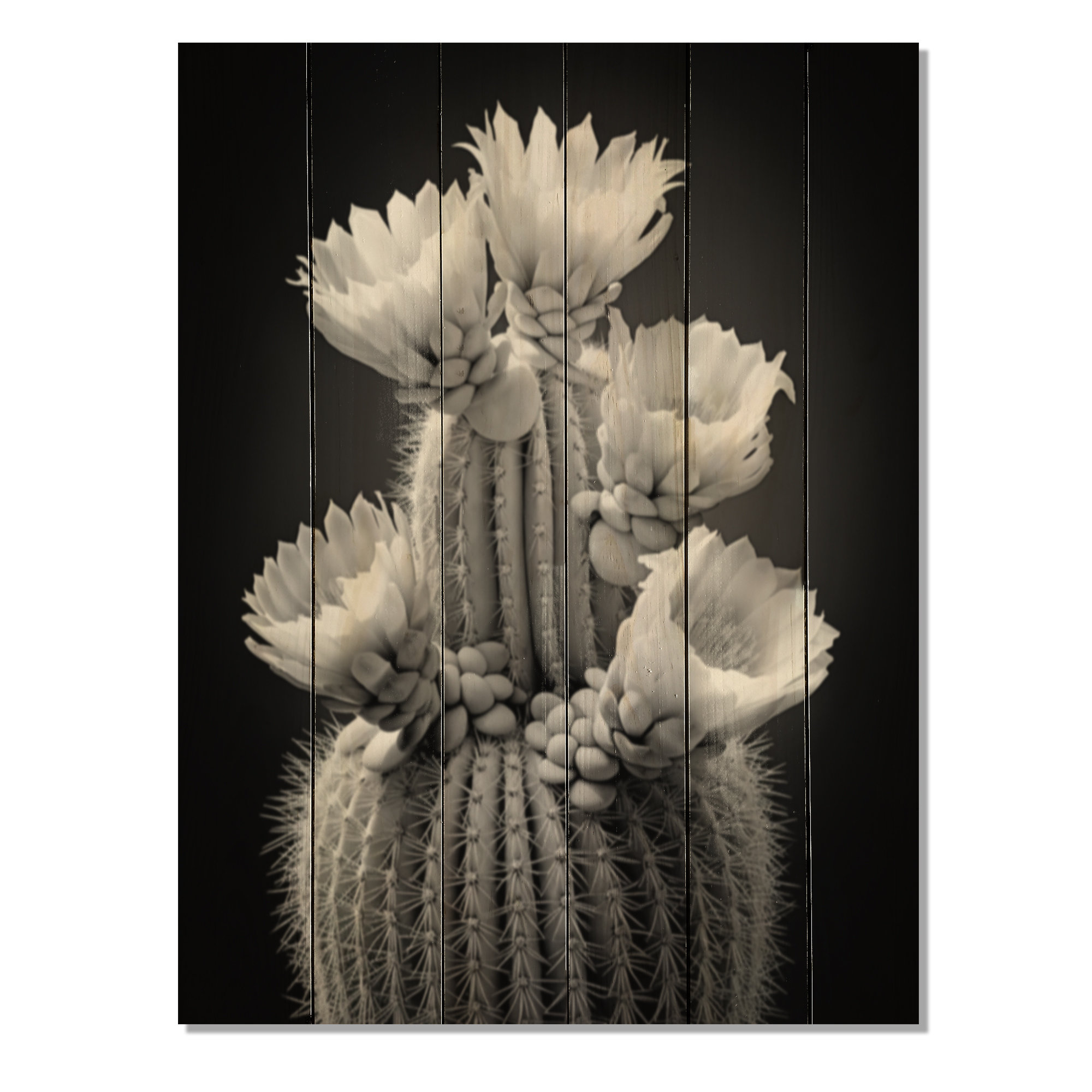 Latitude Run® Grey Cactus Elegance In Monochrome II On Wood Print | Wayfair