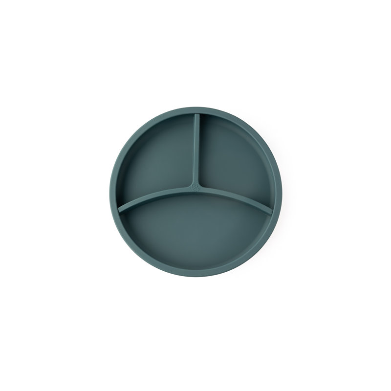 Silicone Divider Plate, Teal