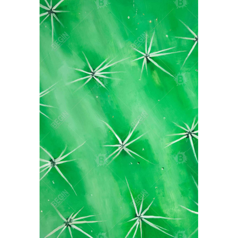 " Cactus Closeup "