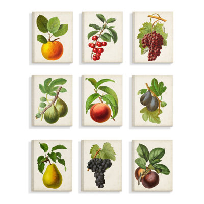 « rétro fruits », ensemble de 9 reproductions d’art sur toiles