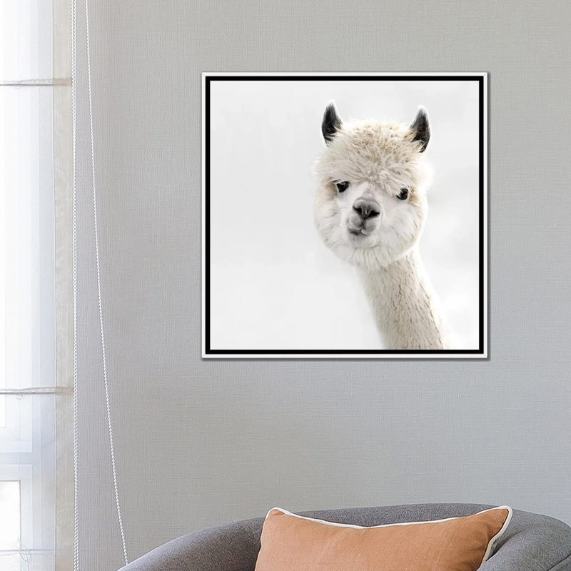 «Peeky Alpaca Square» par Monika Strigel - impression d'art graphique, Cadre blanc, Aucun mat, H 26 po x l 26 po x P 1,5 po