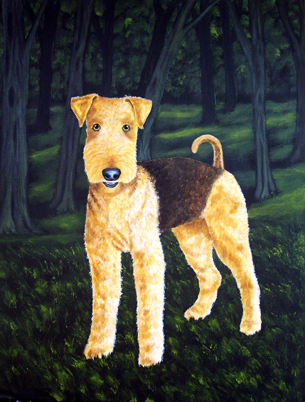 Drapeau de jardin à 2 côtés delta airedale terrier, H 28 po x l 40 po
