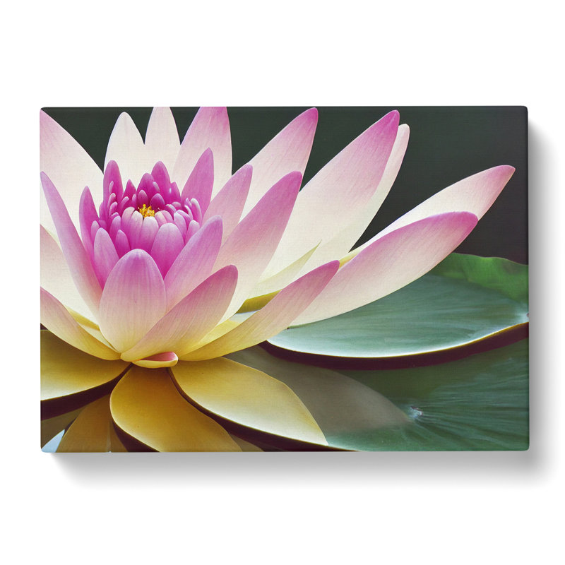 Innovative Water Lily Flower - Wrapped Canvas, 35cm H x 50cm W x 3cm D