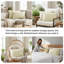 Ensemble de 2 taies décoratives matelassées à motif carré en microfibre à bords carrés passepoilés Southano Fine Vilens, ensemble de 2, 20 po x 36 po, crème-324762885-399142840