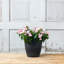 Pot de fleurs en résine à arrosage automatique Nashville-532996904-532996906
