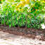 10 ft. Montebello Wrought Iron Garden Edging