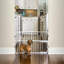 Barrière extensible pour animaux de compagnie à fixation par pression-14994530-47814740
