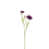 Dark Purple is out of stock