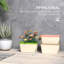 Planter Box