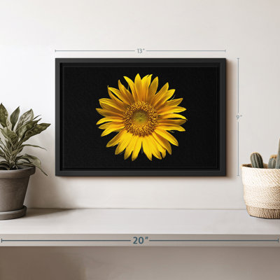 Sunflower On Black Canvas Print