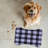 Lemon Cheer - 1 Piece Bone Shape Feeding Mat-101634686