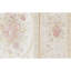 Aubusson Renaissance Handmade Wool Oriental Area Rug