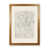 Brown Framed