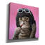 «Bob Cat» par Lucia Heffernan sur-517725215