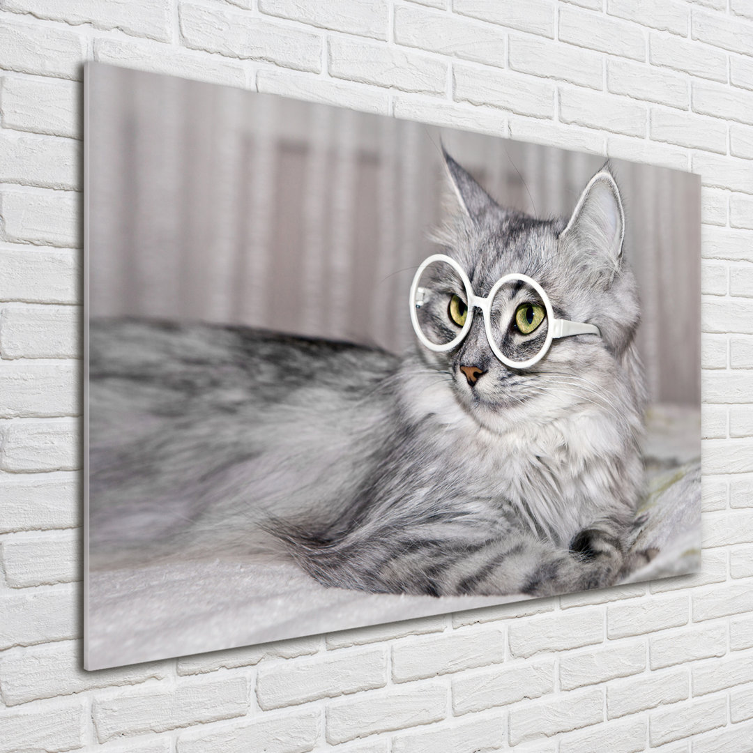 Glasbild Katze mit Brille