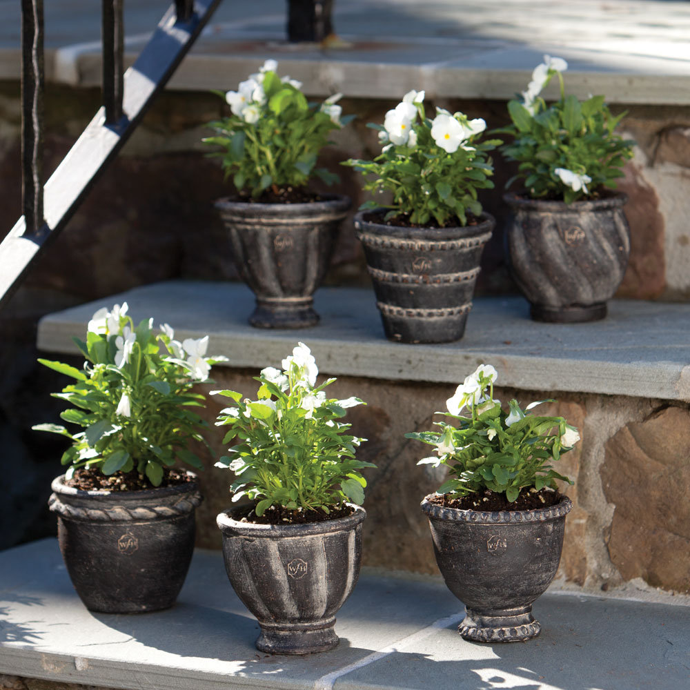 4" Pot Planter, Black Earth