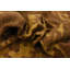 Tapis de zone en laine 6 pi 6 po x 8 pi 8 po one-of-kind noué la brown Earley
