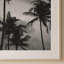 Palm Tree Print 2-1454621019