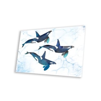 «Killer Whales In Motion On» par Thomas Little Print