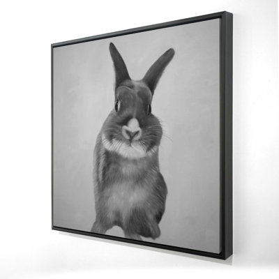 "Drôle de lapin gris"