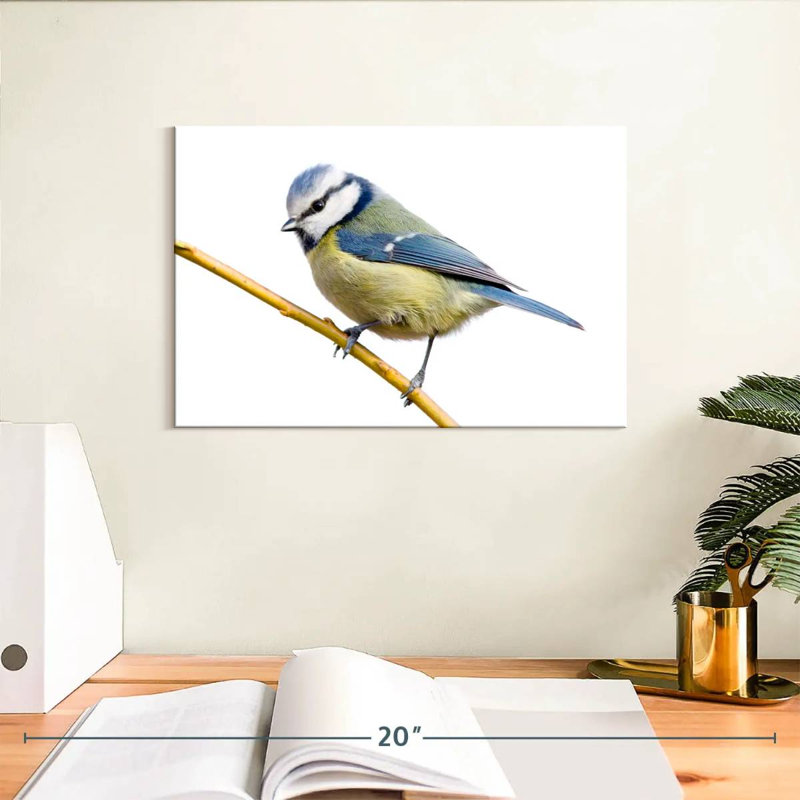 Brampt Feathery Blue Tit, 8" H x 12" W