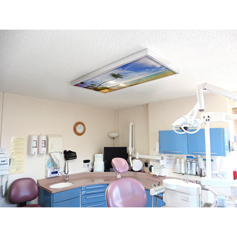 Housses pour lampes de plafond Beach Classroom