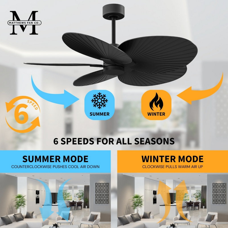 Alessandra Tropical - Five Blade Ceiling Fan - Matte White Finish - Matte White Blades, Matte Black, Matte Black