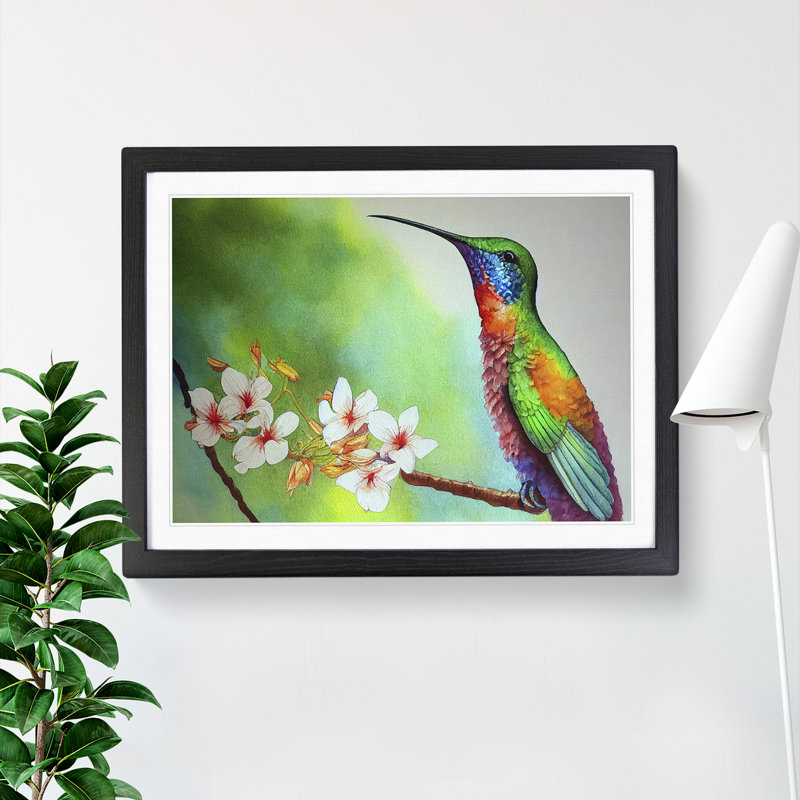 Hummingbird Vol.4 - Single Picture Frame Painting, Black, 46cm H x 64cm W x 2cm D