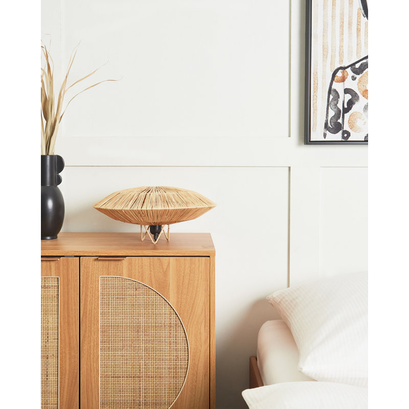 Anegla Iron Novelty Lamp